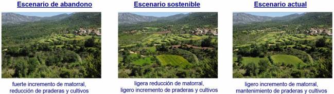 Evolución del paisaje agrario del Parque de la Sierra y Cañones de Guara variará en función del escenario socio-económico y político. 