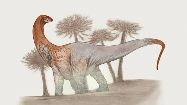 Ilustración Chucarosaurus