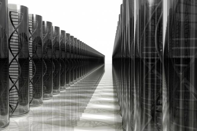 La nueva herramienta permite homogeneizar y compartir datos clínicos y genómicos.