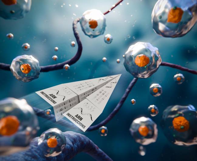 edición genética, cáncer