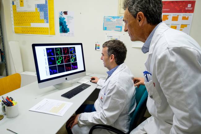 Investigadores en un laboratorio de la Universidad de La Rioja