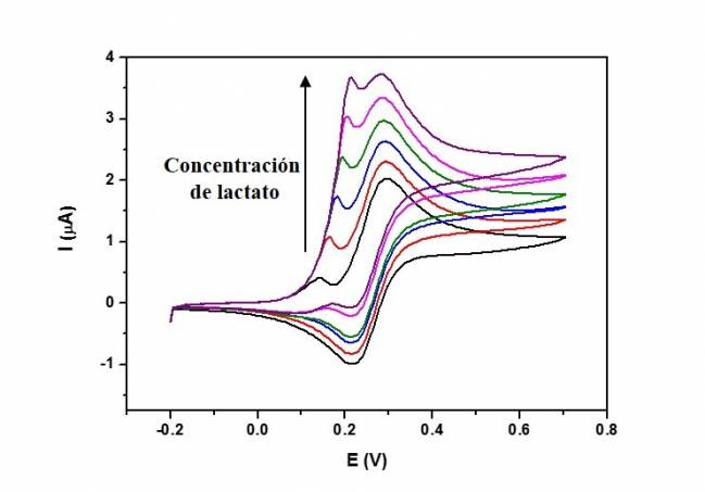 Nuevo biosensor basado en nanopartículas de diamante