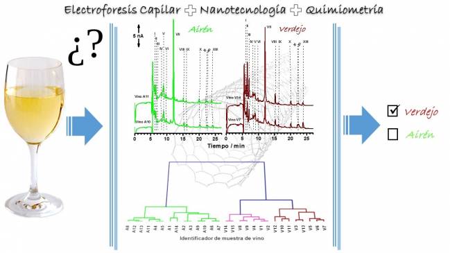 Clasificación de vinos blancos en base a su perfil electroforético