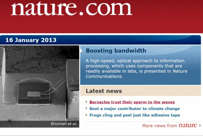 Portada de la web de nature.com. 