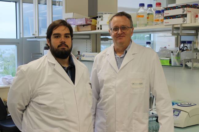 los investigadores en el laboratorio