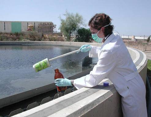 Nuevo modelo matemático que predice la respuesta biológica a contaminantes medioambientales