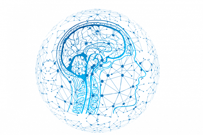 Los investigadores han creado una estructura neuro-inspirada llamada MNSD (multi neuronal spike-sequence detector).