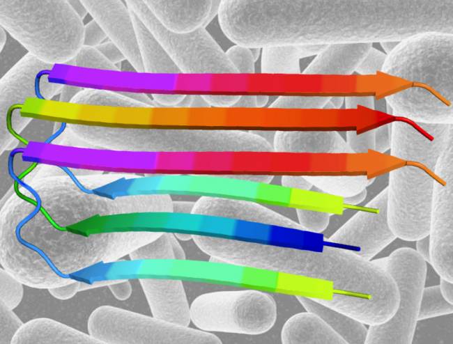 Estructura del péptido desencadenante del Alzheimer sobre un fondo de las bacterias en que se ha hecho la investigación.