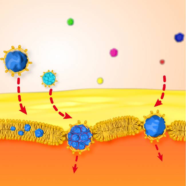 nanopartículas