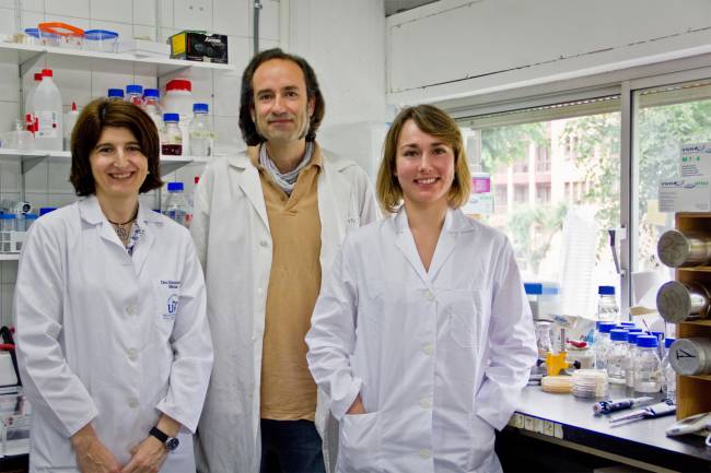 Encarnación Mellado, investigadora de la Facultad de Farmacia y David Cánovas y Almudena Escobar, investigadores de la Facultad de Biología de la Universidad de Sevilla