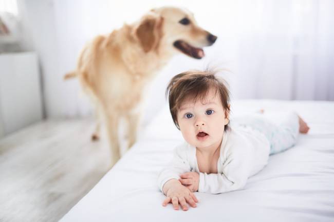 un bebé y un perro en la habitación
