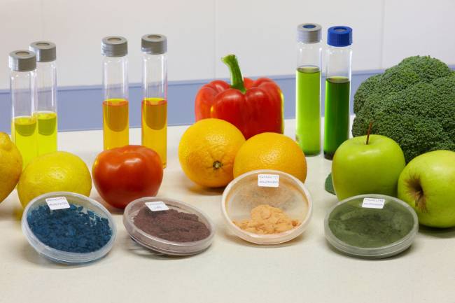 Proyecto Transbio