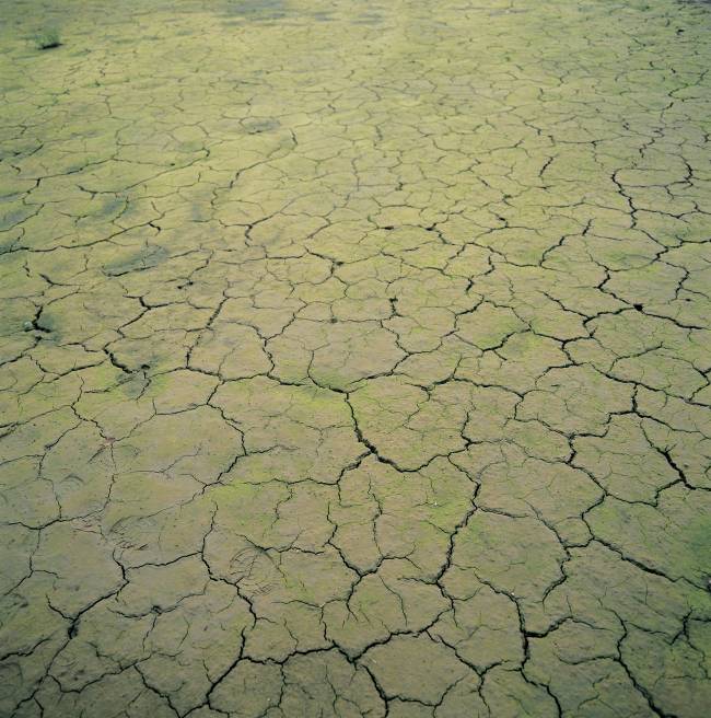 Cambio climático