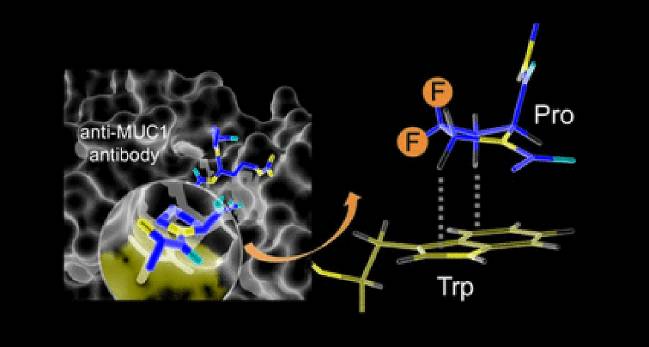  Investigadores del Grupo de Química Biológica y del Grupo de Bioconjugación de Proteínas de la Universidad de La Rioja