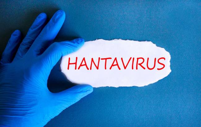 hantavirus