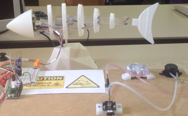 Prototipo de pez-robot. 