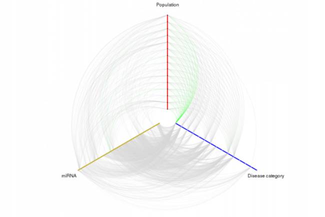 Gráfico que relaciona enfermedades con micro-RNA. /CIPF