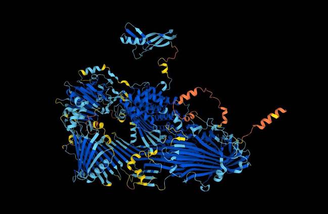 Estructura de la proteína vitelogenina