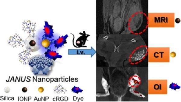 Composición y aplicación de la nanoplataforma JANUS