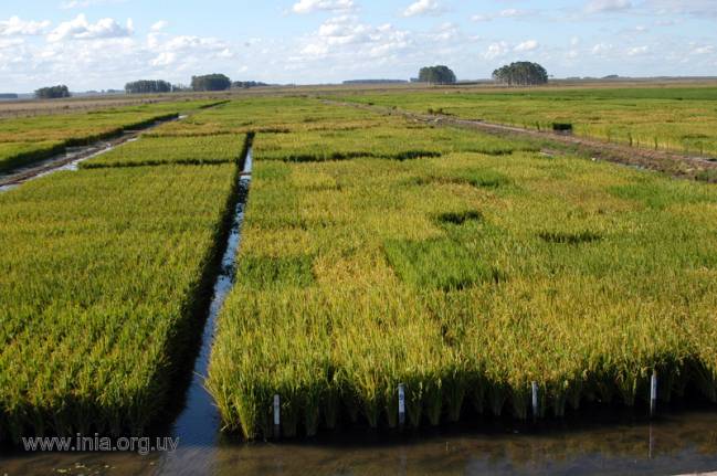 El trabajo, que será editado por el Ministerio de Medio Ambiente, Medio Rural y Marino, realiza un análisis evolutivo desde la segunda mitad del siglo XX