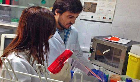 Investigadores de la UCA trabajando en los laboratorios de la universidad.