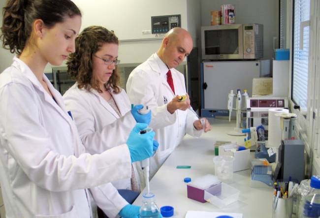 Investigadores del grupo Inmunobiología tumoral de la Universidad de Jaén / Universidad de Jaén