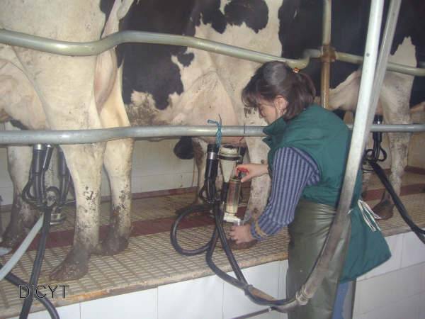 La investigadora recogiendo muestras.