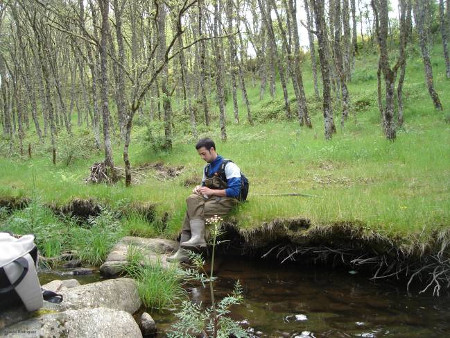 La presencia de la nutria en los Arribes del Duero sigue presentando interrogantes.