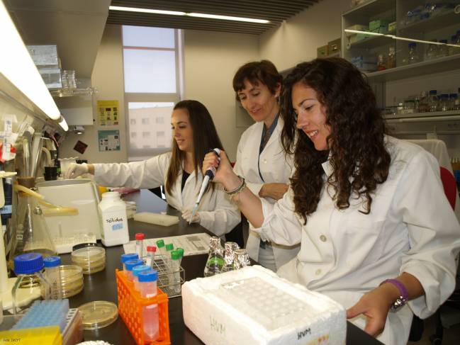 Investigadores del Instituto de Biología Funcional y Genómica publican en la revista PLOS ONE un trabajo que puede servir de base para combatir infecciones fúngicas