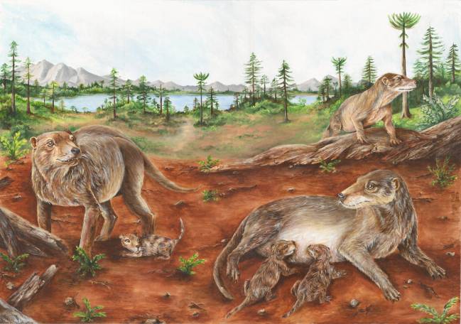 Reconstrucción de la vida de un grupo de individuos de Chiniquodon theotonicus