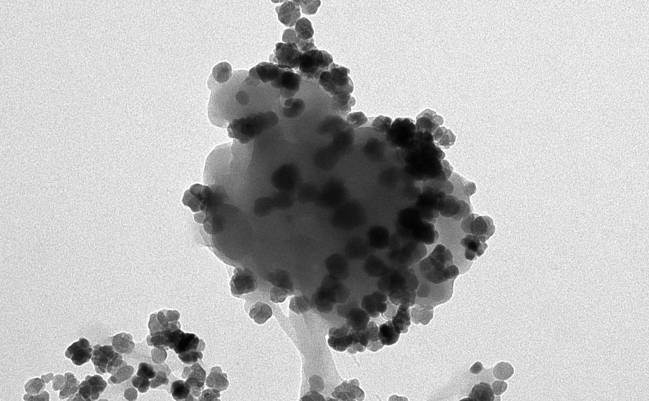 Imagen de microscopio donde se observa un nanoPET
