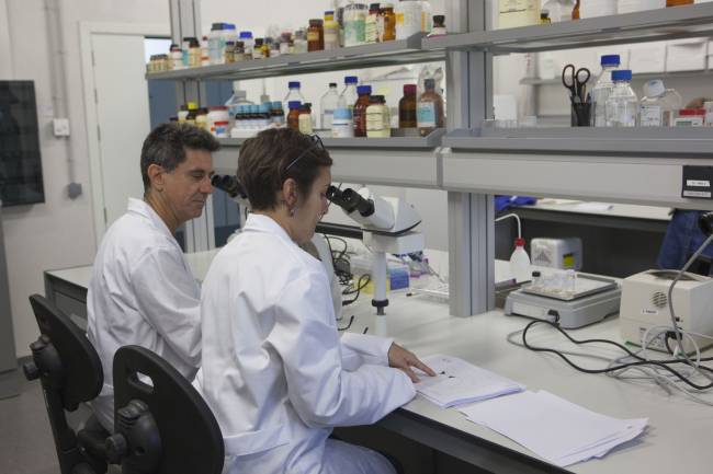 Investigadores del Laboratorio NeuroFun de la UJI