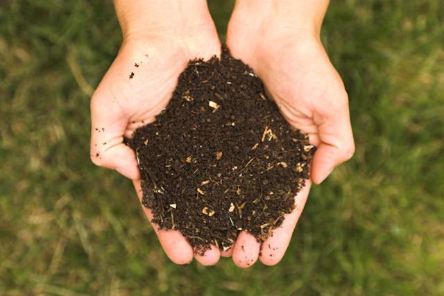 Compost. / Wikipedia