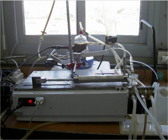 Prototipo del dispositivo