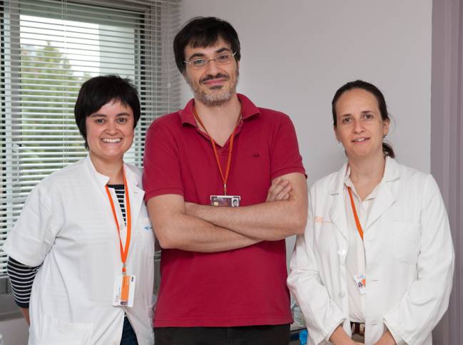 equipo_de_investigación