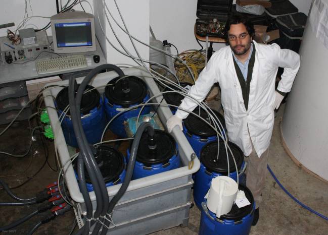 Investigadores de León desarrollan un proyecto con el que se aprovechan los desperdicios de productos frescos de los mercados