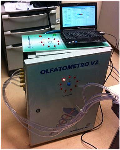 Pruebas de fMRI y olfato