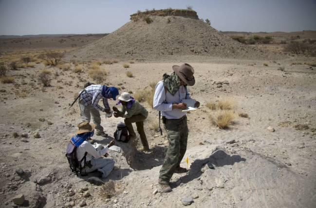 Haile-Selassie y su equipo documentando y recolectando fósiles en uno de los yacimientos de Woranso-Mille