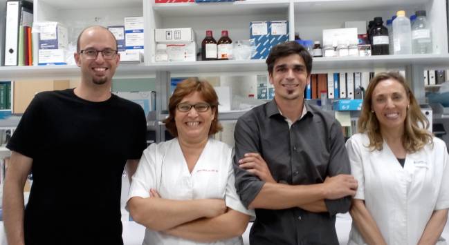 autores del estudio