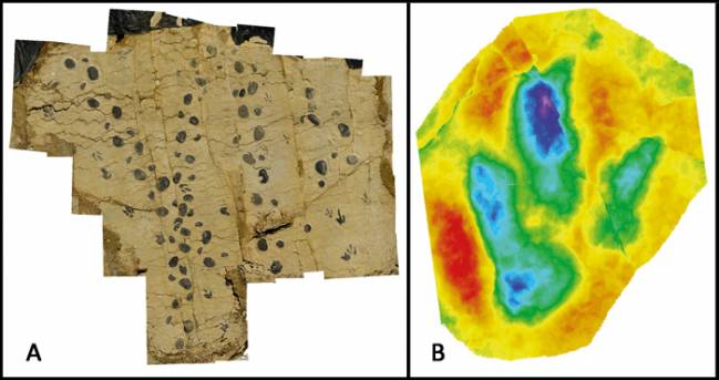 Rastro de Megalosauripus y mapa de profundidad