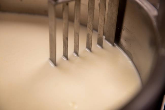 Muestras recogidas en instalaciones de fabricación de queso