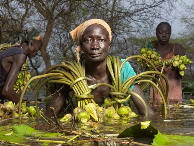 Recogida de alimentos en África