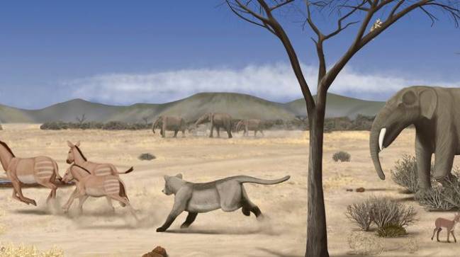 Reconstrucción del paisaje semidesértico del Mioceno de Somosaguas. / Marco Ansón.
