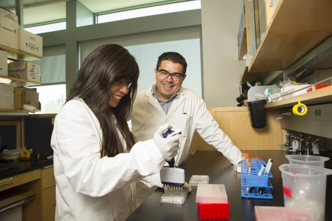 En el trabajo participa la Universidad de California en Davis y dos centros de Colombia