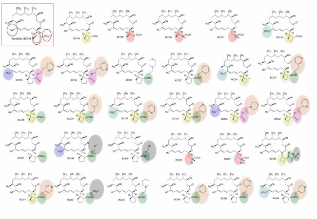 Derivados de la borrelidina
