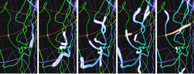 Visualización de actividad neuronal 