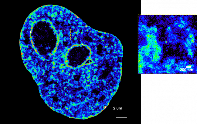 imagen de ADN captada por microscopía de última generación