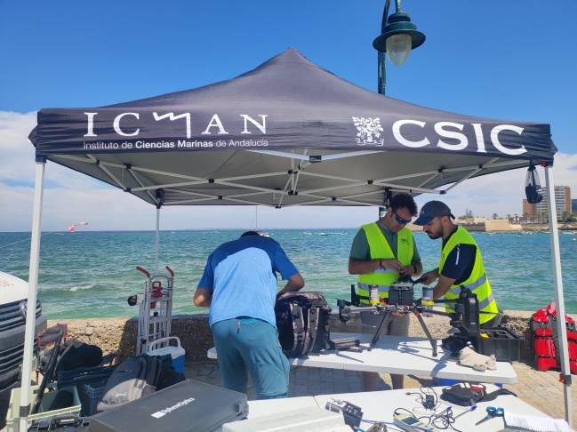 CSIC