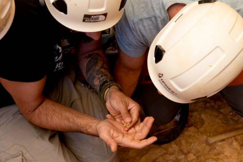  Momento del hallazgo de un diente de Homo antecessor de más de 850.000 años en el nivel TD6 de Gran Dolina (Sierra de Atapuerca, Burgos). / IPHES-CERCA | Maria D. Guillén