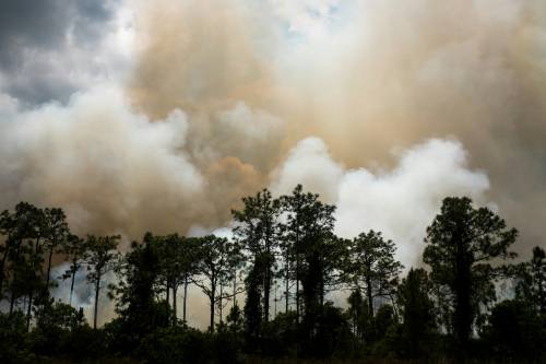 Incendio forestal con humo. 